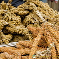 Bird food
